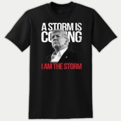 A Storm Is Coming I Am The Storm Trump 2024 Premium SS T-Shirt