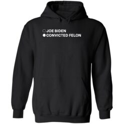 Joe Biden Convicted Felon Hoodie