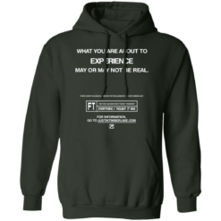Timberlake What You Are About To Experience May Or May Not Be Real Hoodie